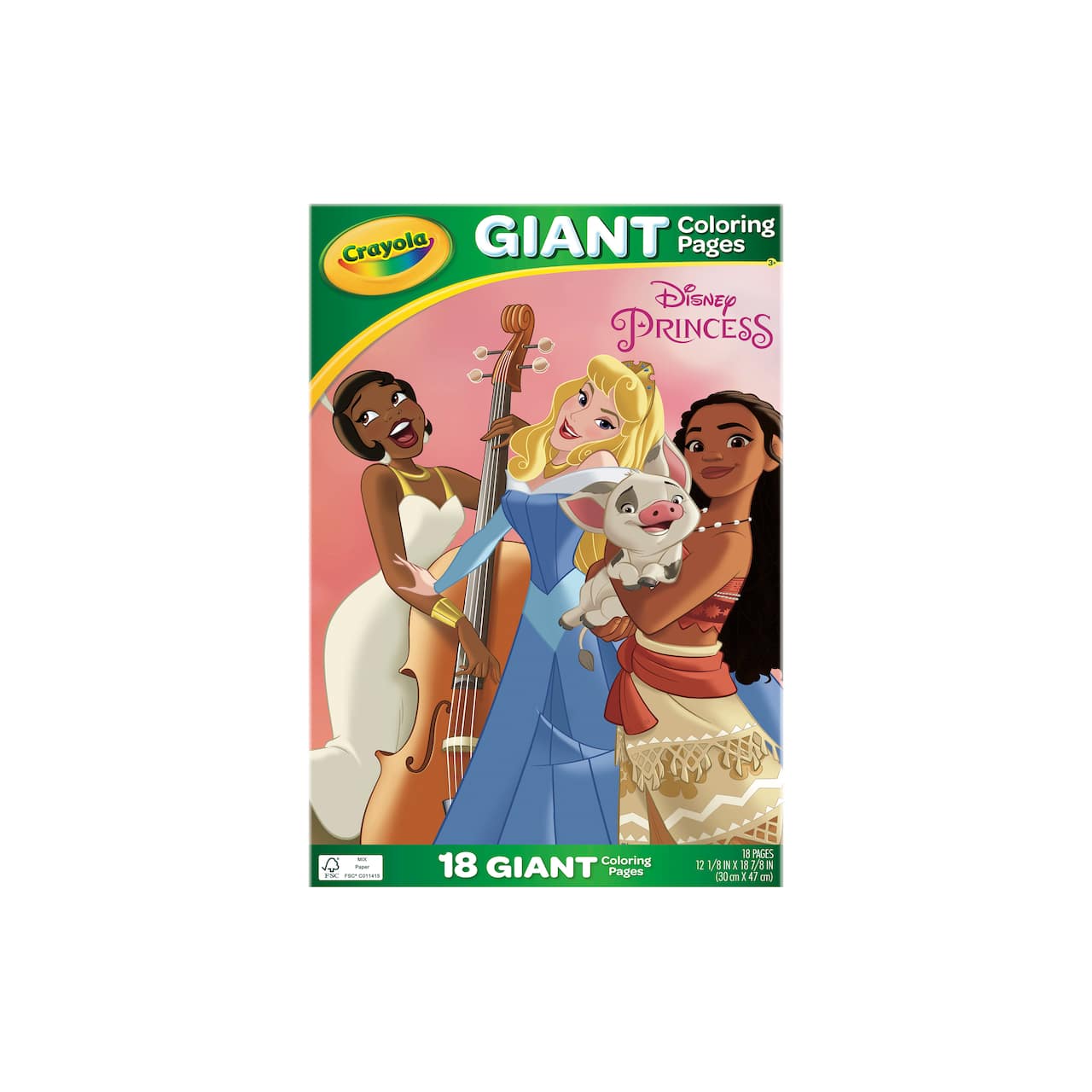 12 Packs: 18 ct. (216 total) Crayola® Disney Princess Giant Coloring Pages